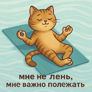 😴