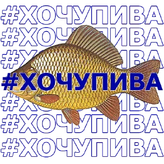 🐠