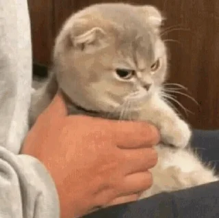 😠