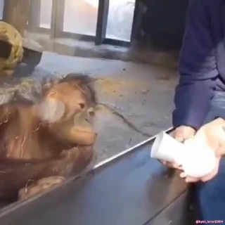 😂
