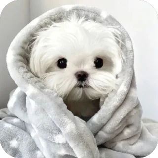 🥰