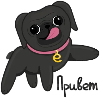 Eva The Pug by @otch1sleno