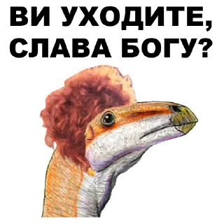 ✌️