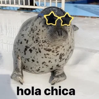 👋