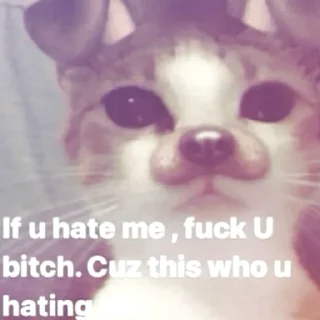 😋