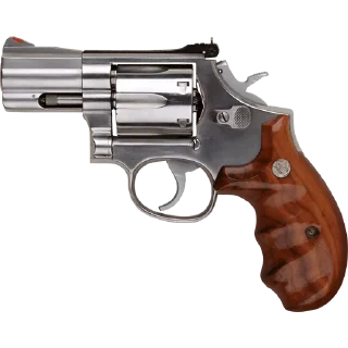 Guns & Rifles @PunjabiSticker