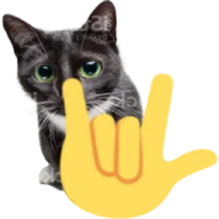 🤟