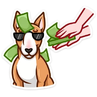 😎