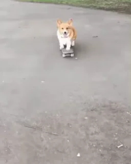 🚶‍♂