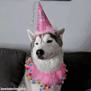 🥳