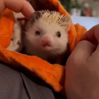 🥱