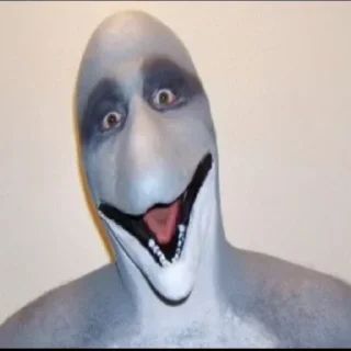 🐬
