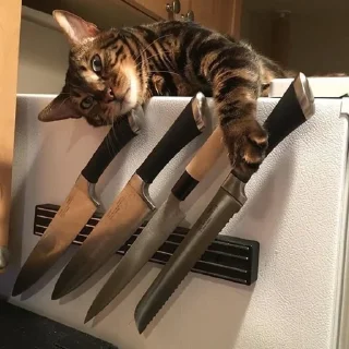 😡