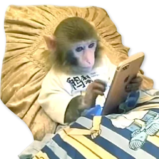 🐒
