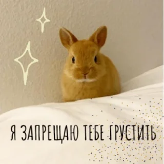 🙂