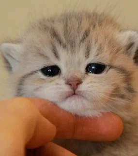 😍