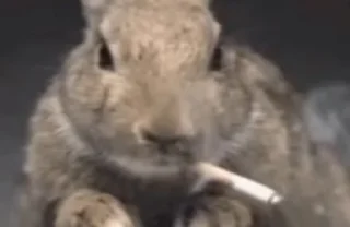🚬