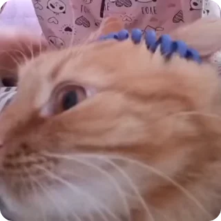 😧