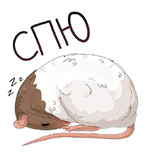 😴