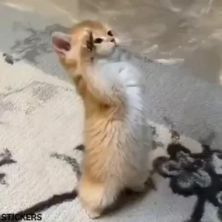 😌