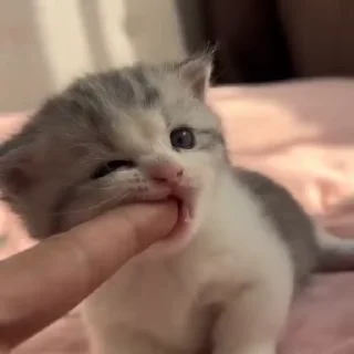 🥰
