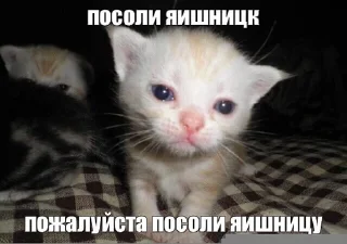 🥴