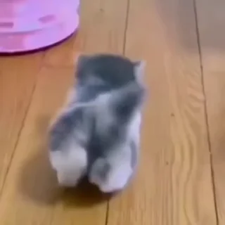 🤘