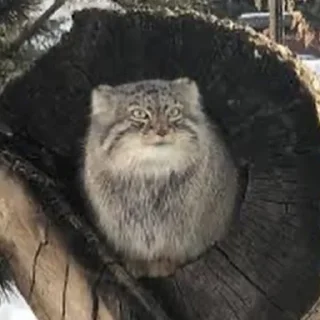 🤯
