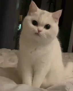 🤨