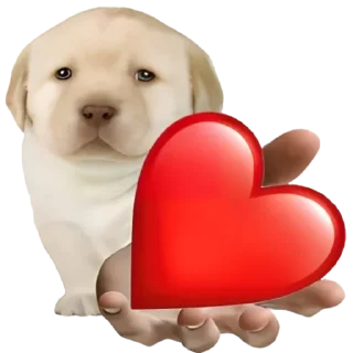 ❤️