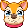 Chihuahua Chica