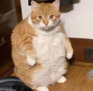 👍