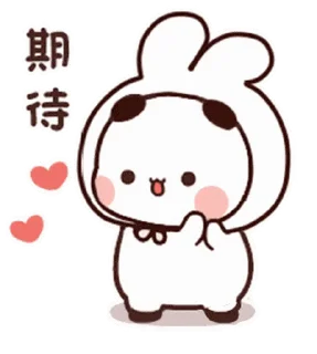 🐼