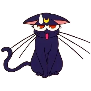 🐈