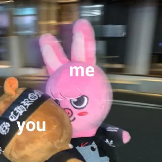🐷