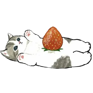 🍓