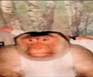 🗿