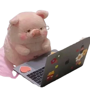🐷