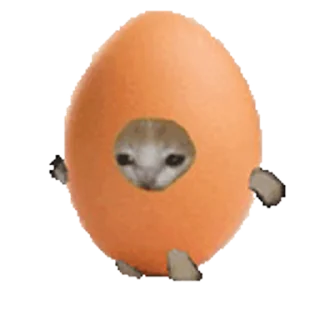 🐈