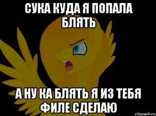 🌟