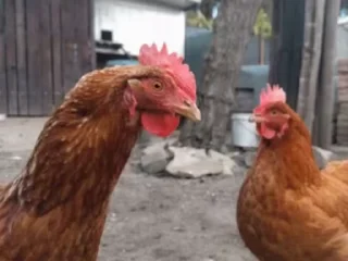 😳