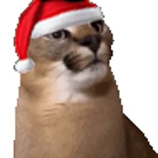 🎅