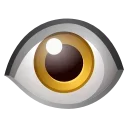 👁