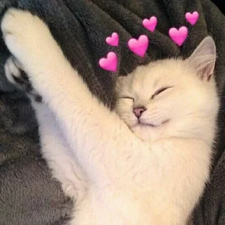 ❤️