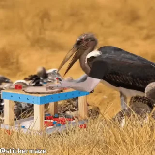 🔨