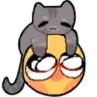 🐱