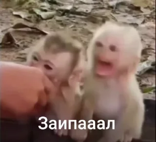 😭