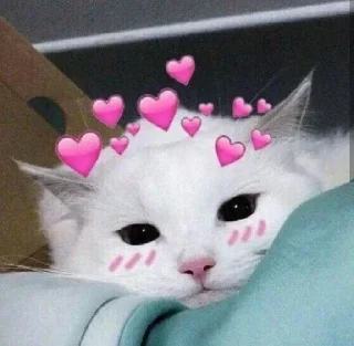 💕