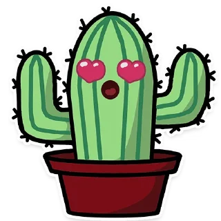 😍