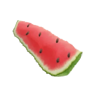 🍉